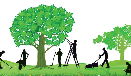 ¿Por qué contratar a un profesional para el mantenimiento de tu jardín?
