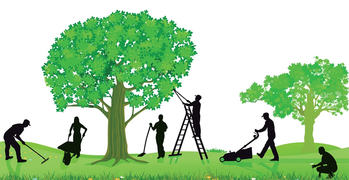 Por qué contratar a un¿ profesional para el mantenimiento de tu jardín?