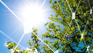 Placas solares: todo lo que debes saber