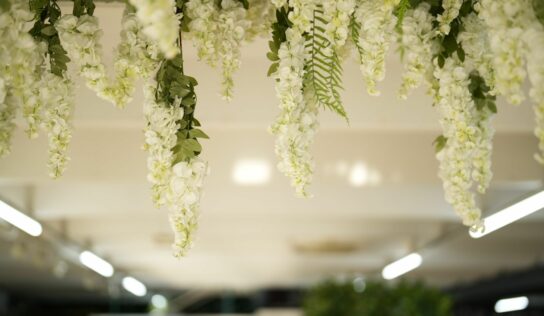 Bemaco cuenta con un nuevo showroom para ofrecer ideas decorativas con flores y plantas artificiales