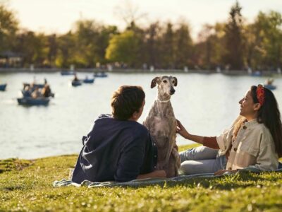 MSD Animal Health celebra el Día de la lucha frente a la Leishmaniosis a través de la concienciación