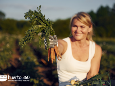 Huerto360, la primera plataforma gratuita que fomenta la agricultura urbana