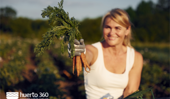 Huerto360, la primera plataforma gratuita que fomenta la agricultura urbana