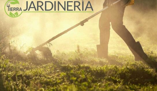 Desbroce de fincas como medida preventiva para evitar incendios, por La Tierra Jardinería