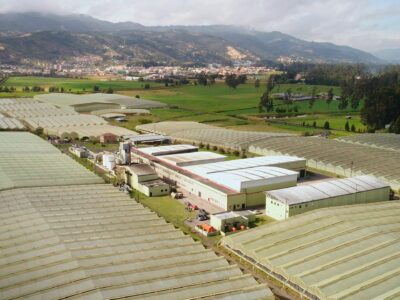 Innovaflora presenta informe sobre el progreso hacia los ODS