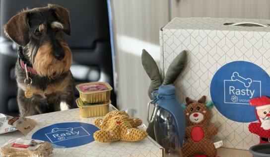 Sadival lanza la primera cesta de Navidad para perros