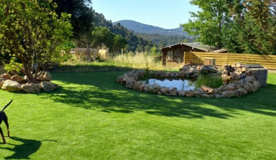 MiroVerd, especialistas en el diseño y la innovación de proyectos exteriores, estrena nueva página web gracias al Kit Digital