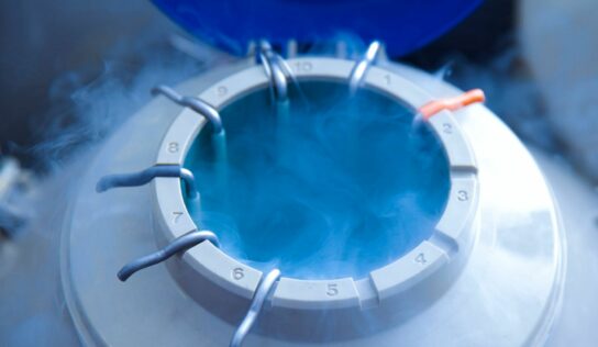 Tecnocryo Ibérica; empresa especializada en innovación y excelencia en soluciones criogénicas