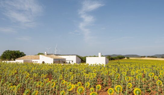 La ‘Casa de Campo’ de Zafra de Záncara (Cuenca), Premio COACM Arquitectura Obra Nueva Vivienda