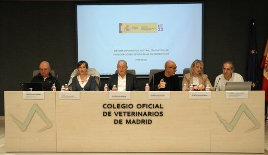 Entrada en vigor de la obligación de comunicar la prescripción de antibióticos a PRESVET para los animales de compañía