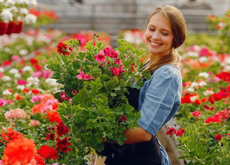 Despierta tu jardín, guía completa para un estallido de color en primavera