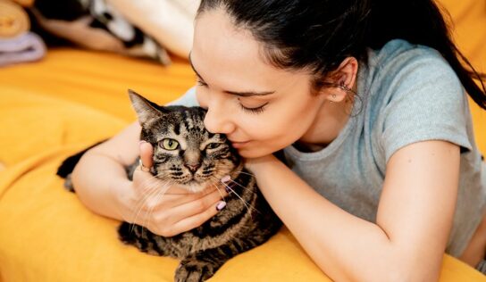 Correduría de Seguros Pueyo destaca la importancia del seguro para mascotas para garantizar su bienestar y protección
