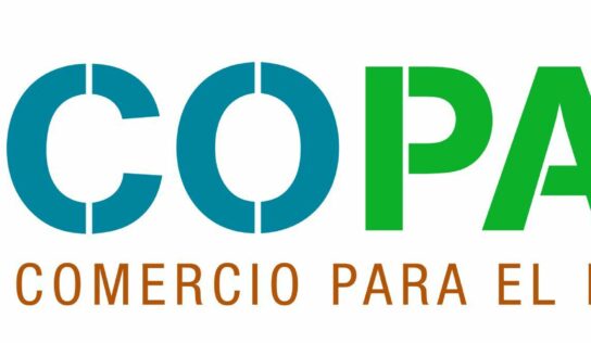 WoodLife: la madera más sostenible del planeta que conecta bosques, personas y futuro