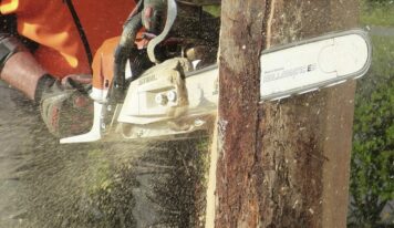 Poda de árboles como parte del mantenimiento del hogar