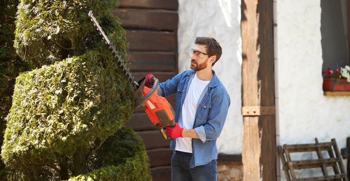La poda como parte de una rutina de mantenimiento La poda como parte de una rutina de mantenimiento