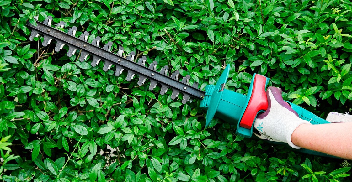 ¿Sabías que podar árboles puede salvar tu casa? ¿Sabías que podar árboles puede salvar tu casa?