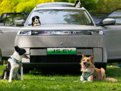 JAECOO presenta cinco consejos para disfrutar con perro en cada viaje