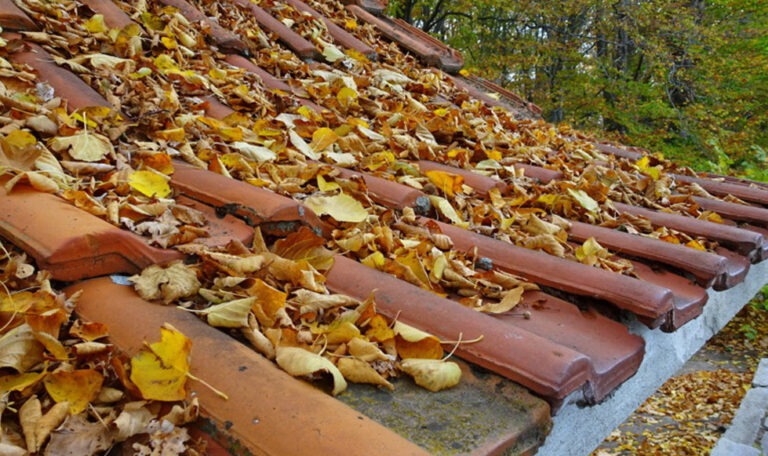 El final del verano o el comienzo del otoño