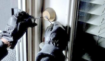 Cataluña, Comunidad Valenciana y Andalucía, las regiones con más robos en la primera mitad de 2025