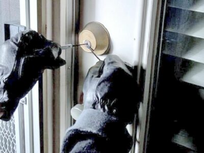 Cataluña, Comunidad Valenciana y Andalucía, las regiones con más robos en la primera mitad de 2025