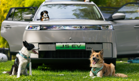 JAECOO presenta cinco consejos para disfrutar con perro en cada viaje