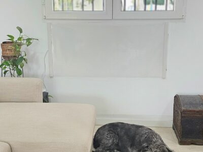 Lanzan un radiador ‘made in Murcia’ que ahorra un 70% en electricidad