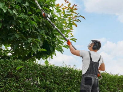 La gestión de poda de árboles como estrategia clave para ciudades sostenibles