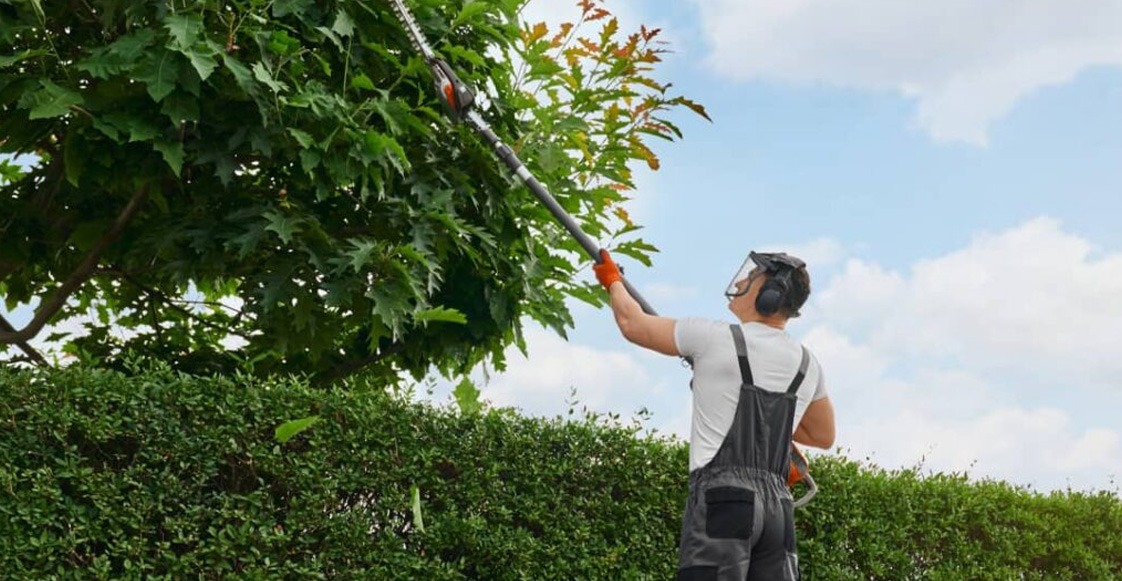 La gestión de poda de árboles como estrategia clave para ciudades sostenibles