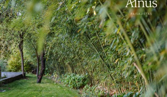 Alnus Paisajistas consolida su trayectoria como estudio de paisajismo sostenible en Madrid