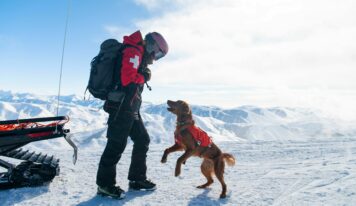 Nulo aterriza en España junto a IskayPet para revolucionar la nutrición premium para mascotas