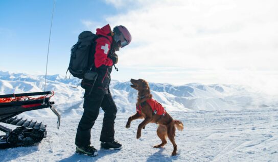 Nulo aterriza en España junto a IskayPet para revolucionar la nutrición premium para mascotas