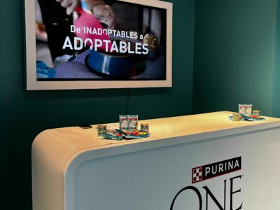 Inadoptables, la nueva campaña de Purina ONE para concienciar sobre cómo los sesgos afectan en la adopción animal