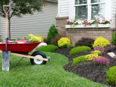 Cómo mantener y optimizar tu jardín: guía completa para espacios verdes saludables
