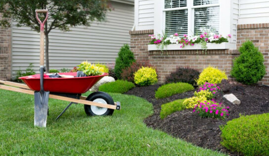 Cómo mantener y optimizar tu jardín: guía completa para espacios verdes saludables