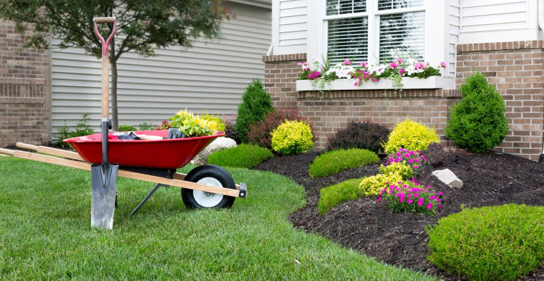 Cómo mantener y optimizar tu jardín: guía completa para espacios verdes saludables