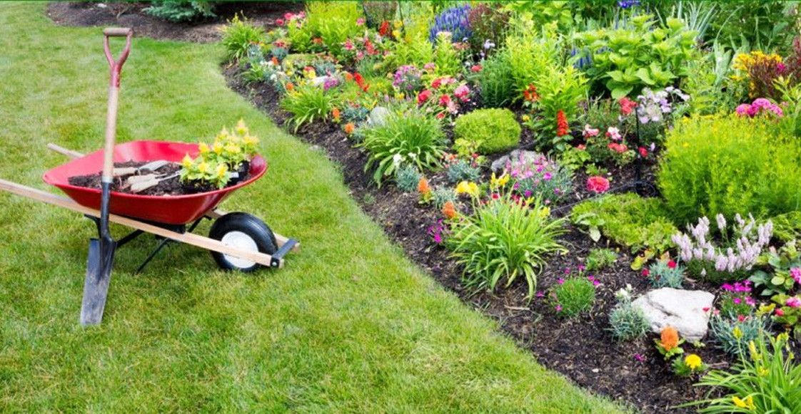 Decoración floral: color y estilo para tu jardín Decoración floral: color y estilo para tu jardín