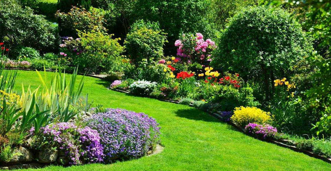 Guía completa de mantenimiento de jardines: Todo lo que debes saber Guía completa de mantenimiento de jardines: Todo lo que debes saber