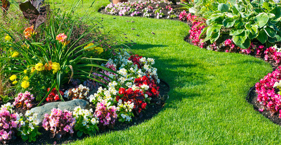 Sistemas de riego: tecnología para la eficiencia hídrica Sistemas de riego: tecnología para la eficiencia hídrica