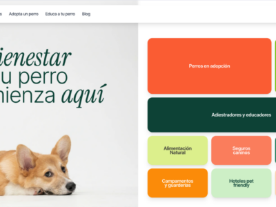 Hundwell: la plataforma de bienestar canino que busca acabar con el abandono de perros en España